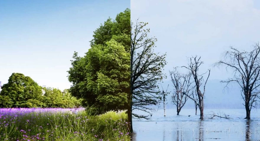 climate-change